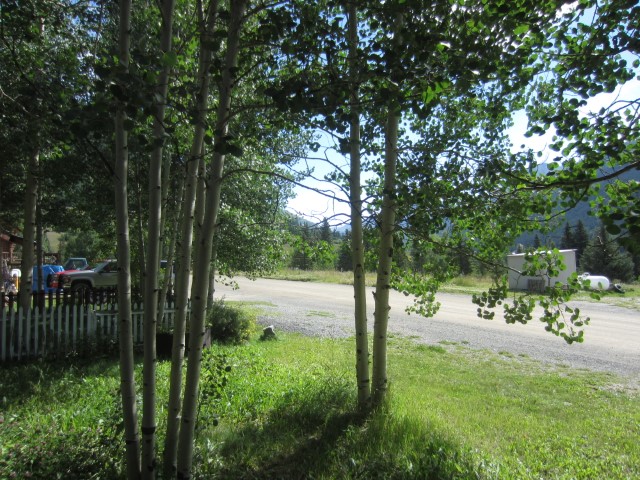 IMG_4335.JPG